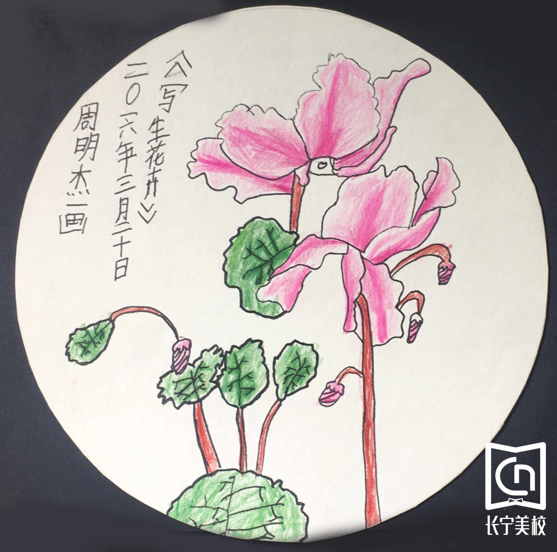 写生花卉